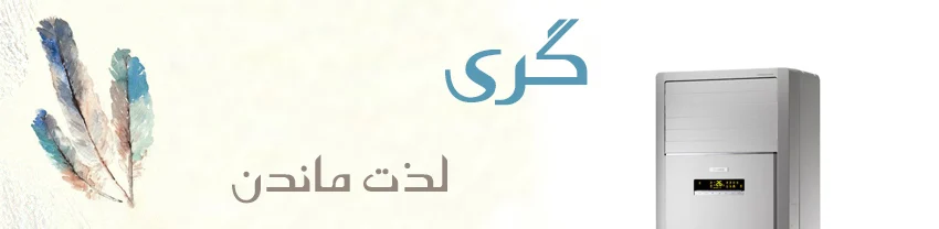 کولر گازی ایستاده گری
