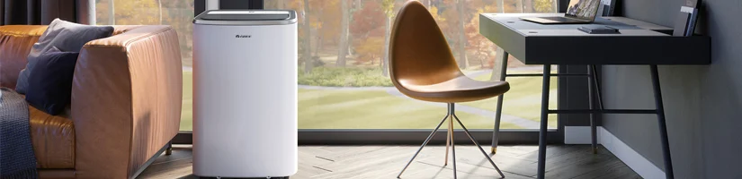 کولر گازی پرتابل گری